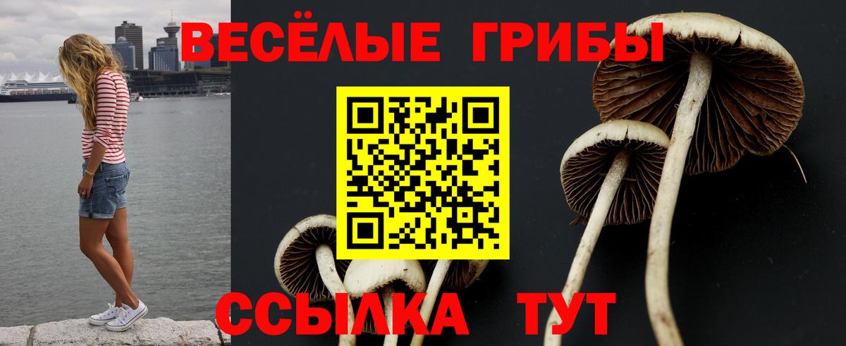 Псилоцибиновые грибы Psilocybe Верхний Уфалей